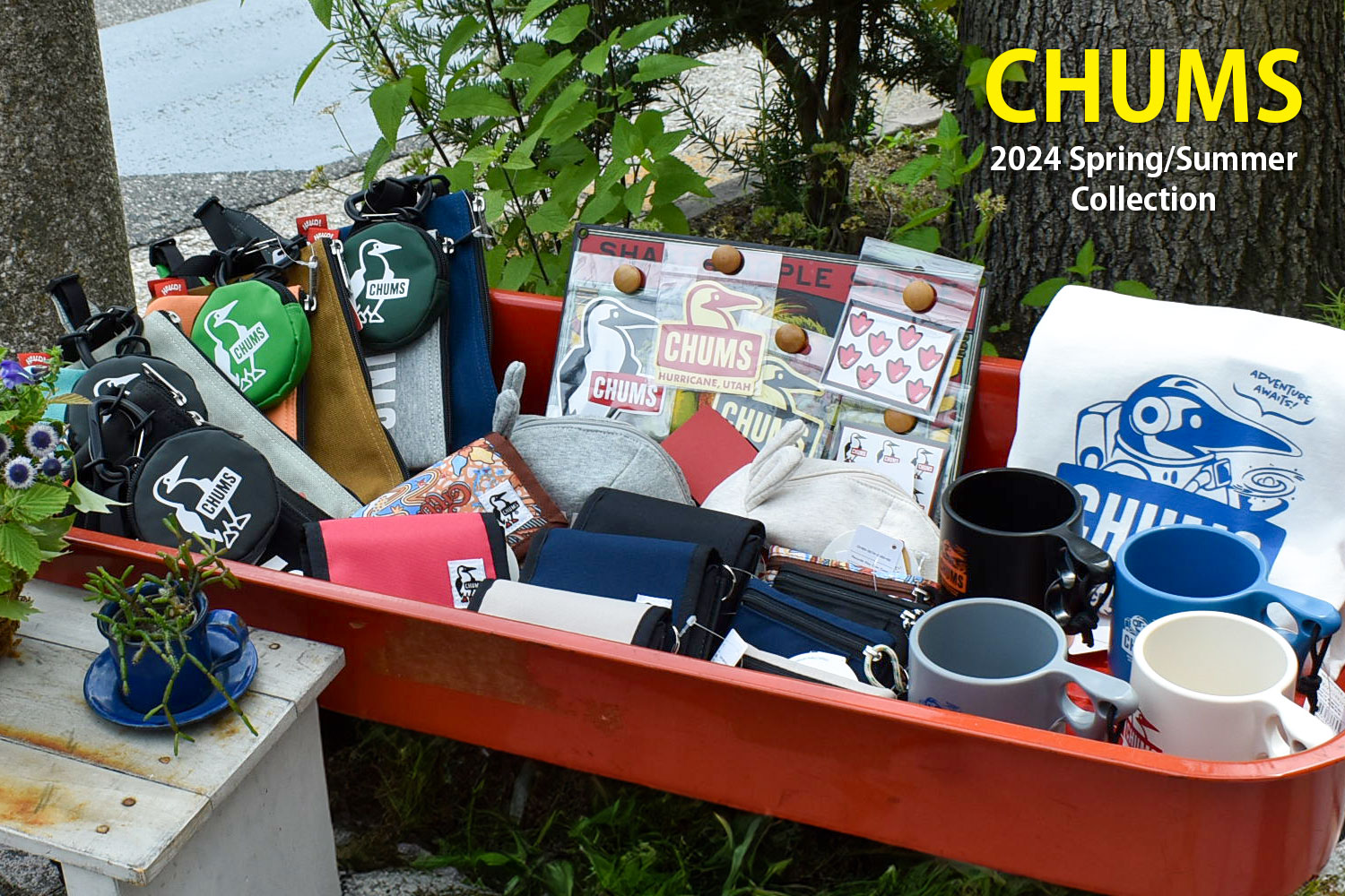 チャムス(CHUMS) 2025春夏新作