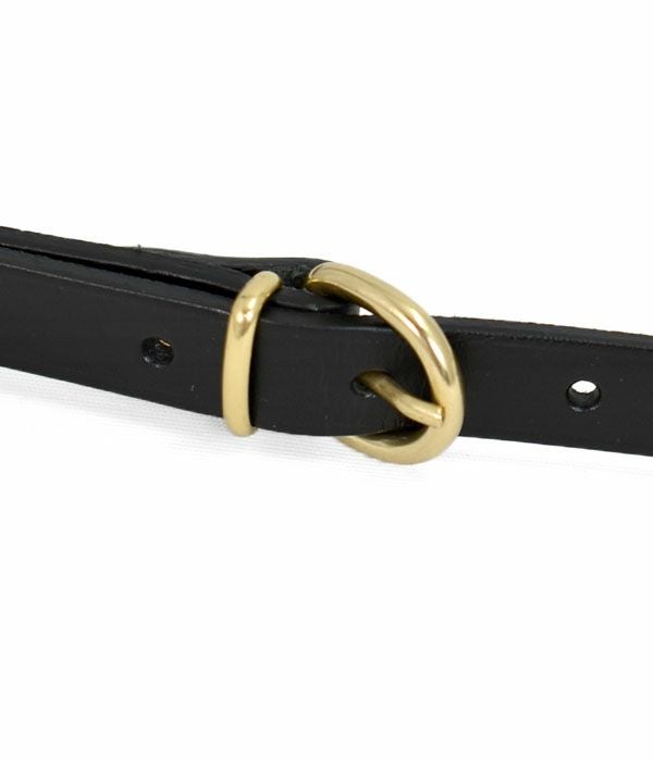 イルビゾンテ (IL BISONTE) ショルダーバッグ レザー クロスボディバッグ 41181-9 411819