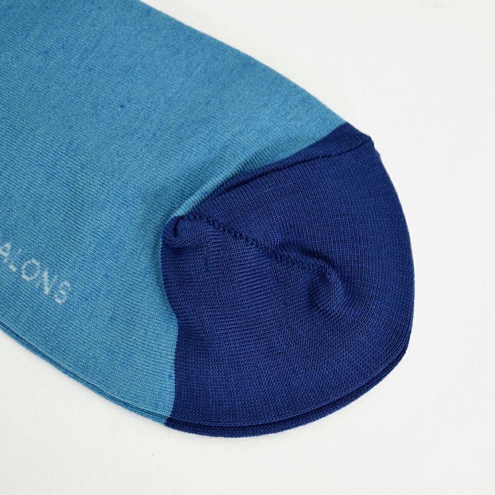 ポンデシャロン (PONT DE CHALONS) 【日本製】シルク混バイカラーソックス 靴下 22411519