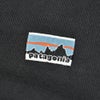 パタゴニア (PATAGONIA) デイリー クルーネック スウェットシャツ Daily Crewneck Sweatshirt 長袖スウェットTシャツ 22765