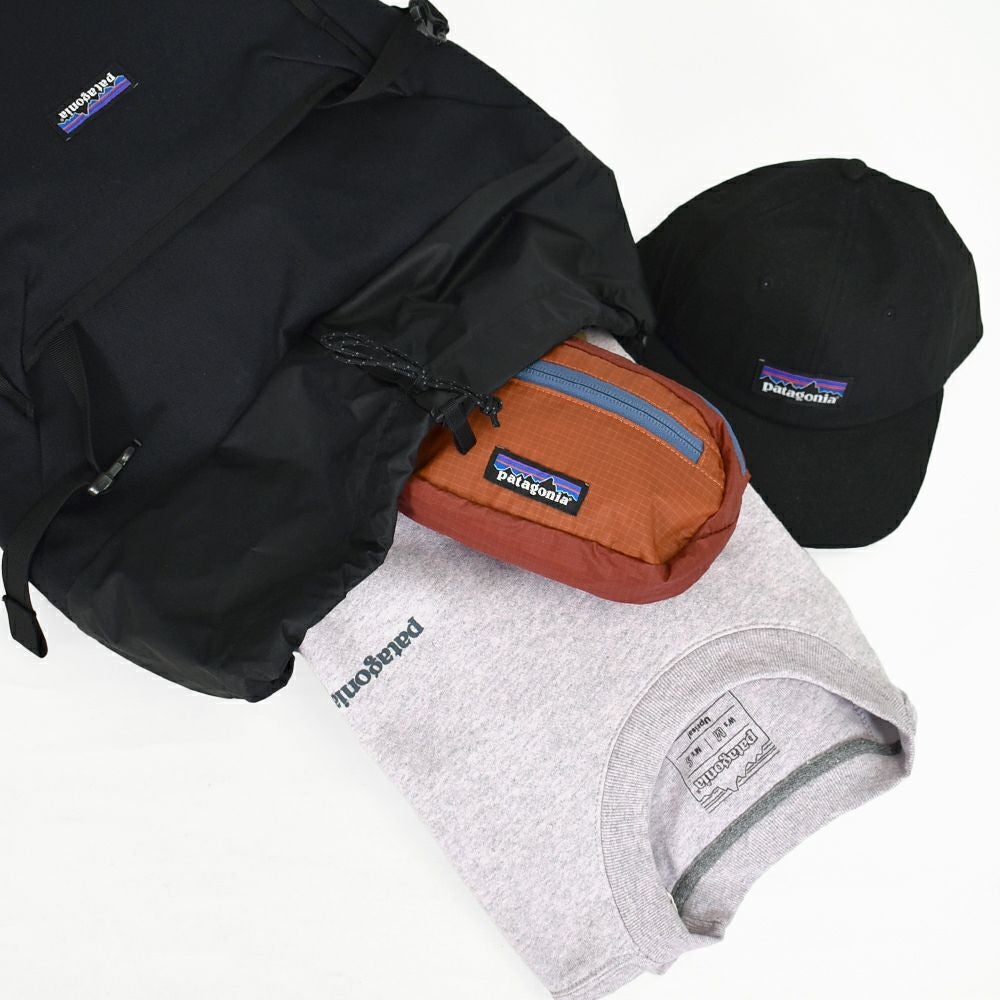 もりもりページ Patagonia [パタゴニア正規代理店] Fieldsmith Lid Pack 28L -BLK