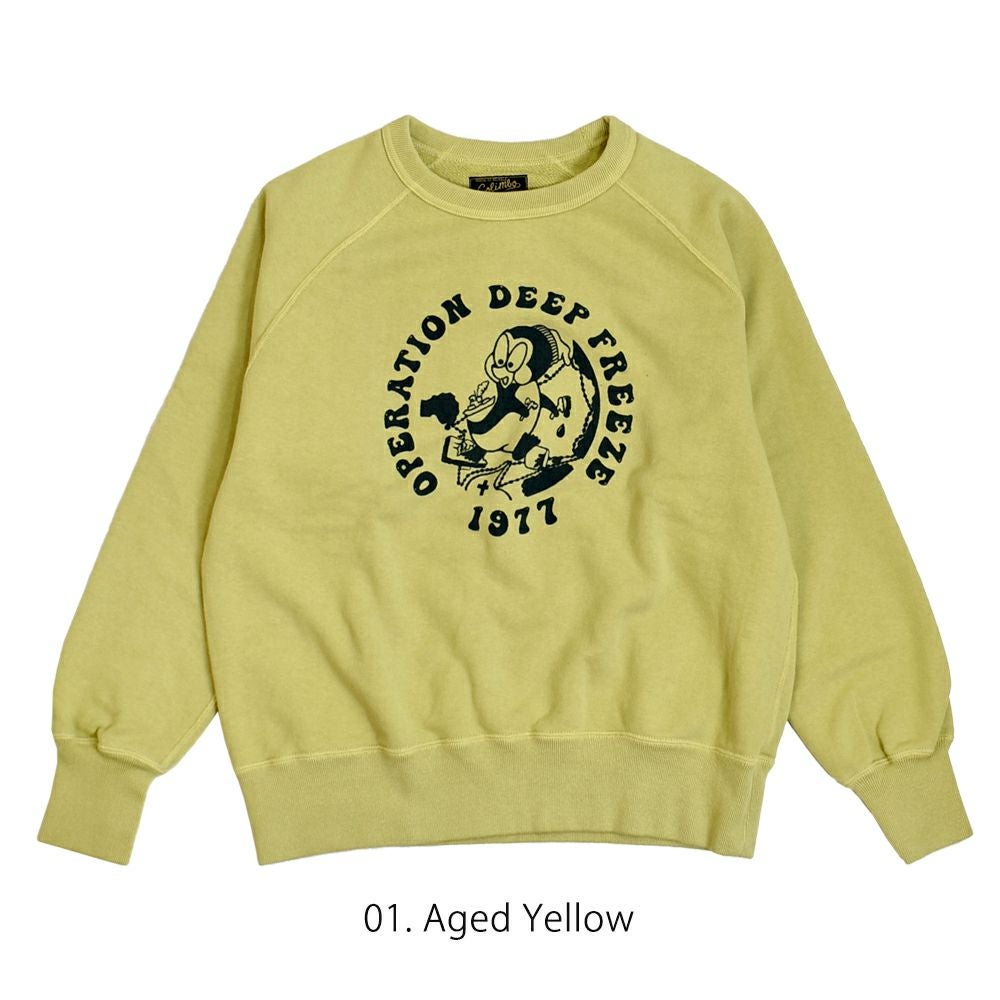 コリンボ (COLIMBO) LAGERGELD SWEAT RAGLAN SWEAT -O.D.F. 1977- ラガーフェルドラグランスウェット 長袖プリントスウェットシャツ ラグランスリーブスウェットシャツ ZA-0404 01.Aged Yellow