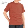 ウエアハウス (WAREHOUSE) Lot 4601 ARAB 半袖プリントTシャツ 4601サーモン