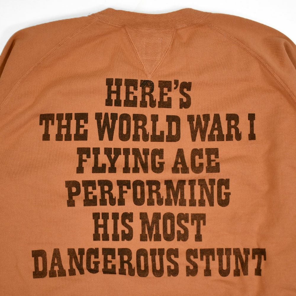 トイズマッコイ (TOYS McCOY) GARMENT DYING SWEAT SHIRT SNOOPY -U.S.A.F. FLYING ACE- 長袖プリントスウェットシャツ スヌーピー TMC2550