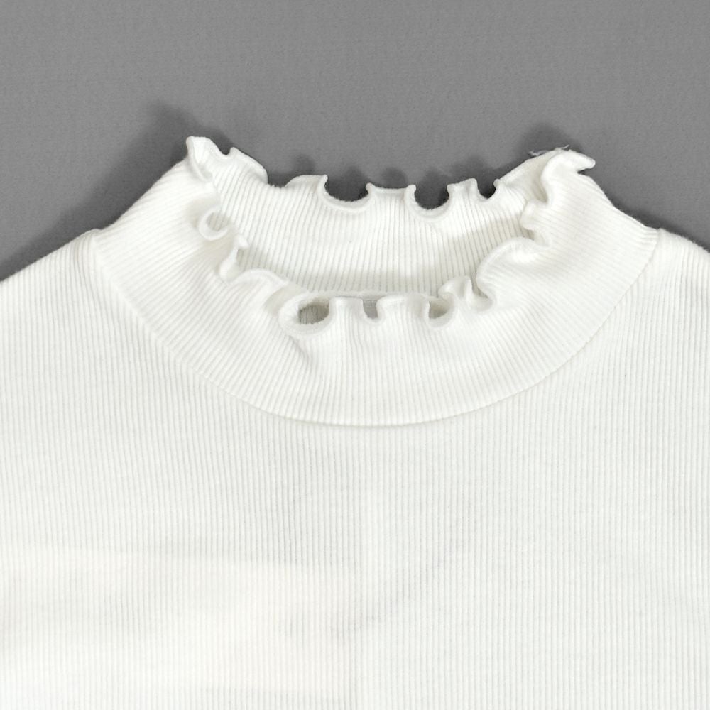 ポンデシャロン (PONT DE CHALONS) 【日本製】コットンテレコハイネックプルオーバー 長袖カットソー インナー 重ね着 22553712