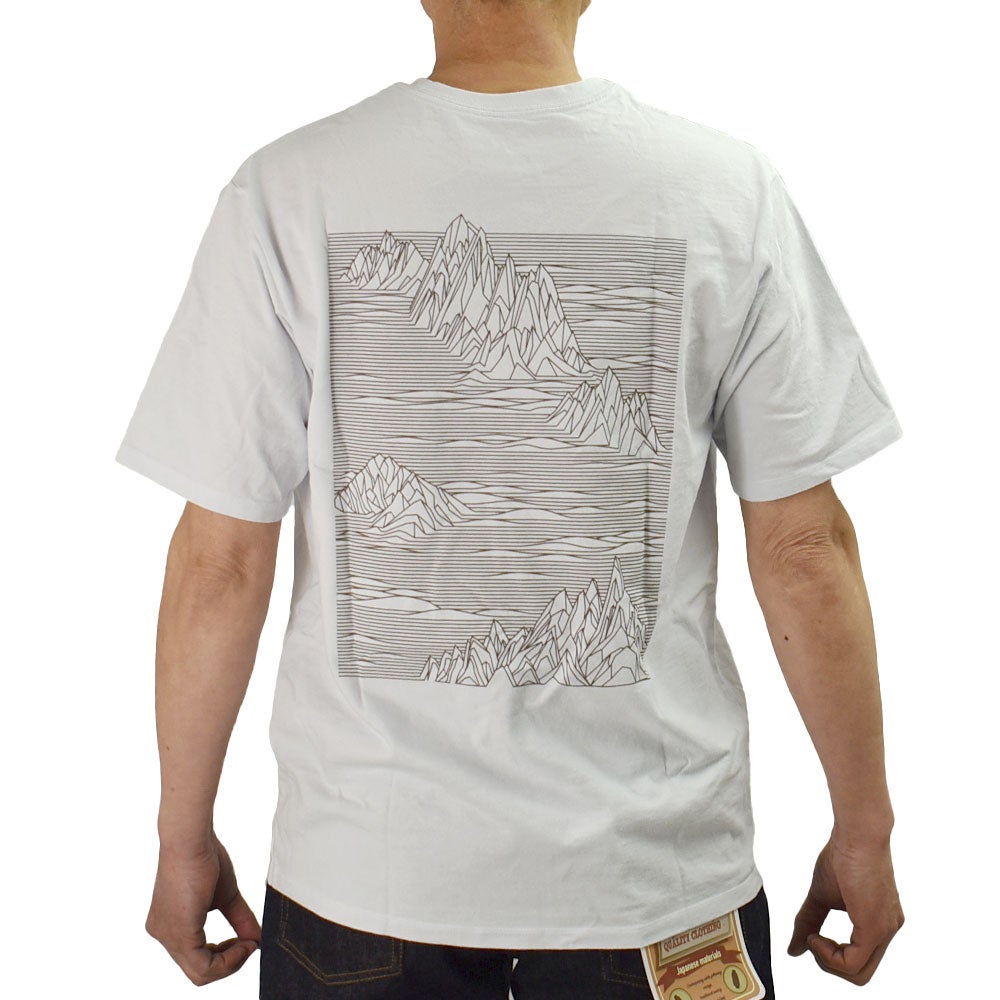 パタゴニア (PATAGONIA) メンズ ストラタスパイア レスポンシビリティー M's Strataspire Responsibili-Tee 半袖プリントTシャツ 37839