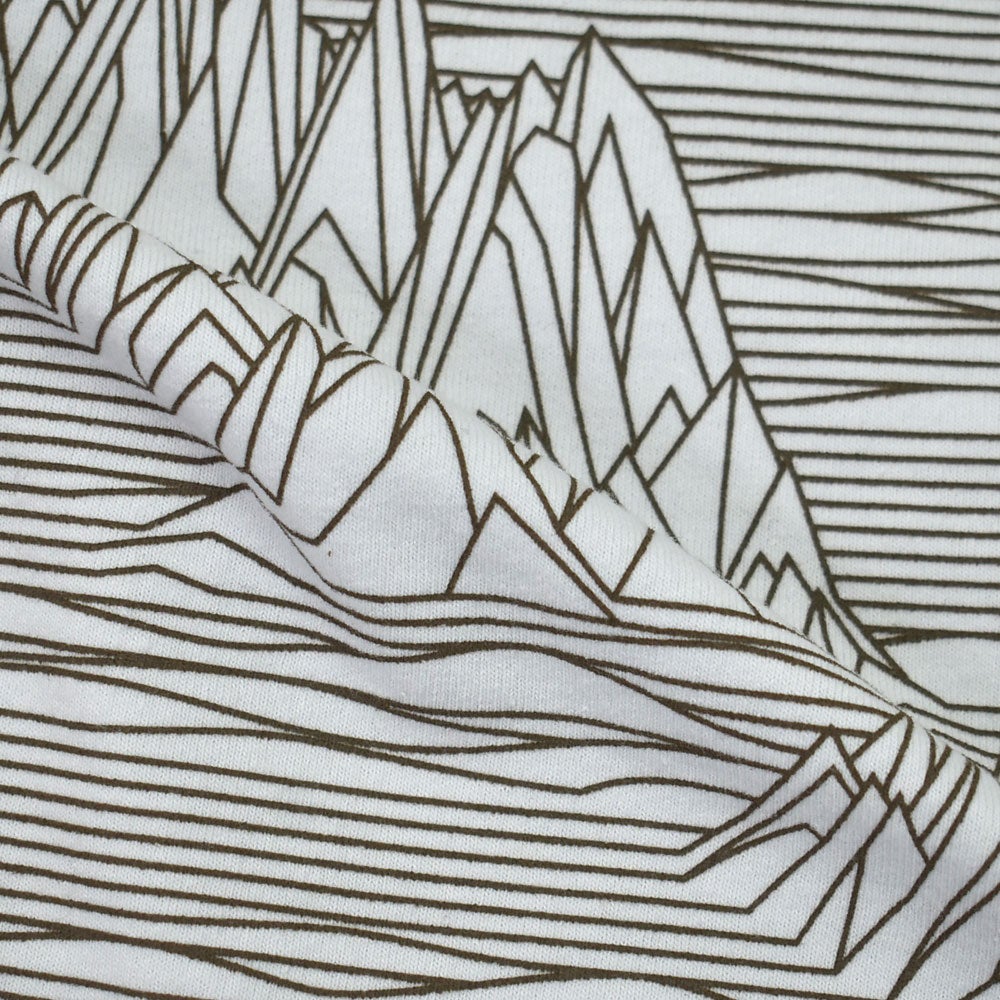 パタゴニア (PATAGONIA) メンズ ストラタスパイア レスポンシビリティー M's Strataspire Responsibili-Tee 半袖プリントTシャツ 37839