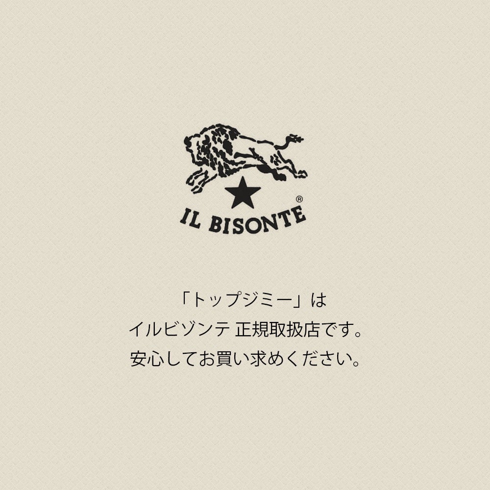 イルビゾンテ (IL BISONTE) ニットキャップ 帽子 ニット帽 ビーニー 54262-3-09280 54262309280