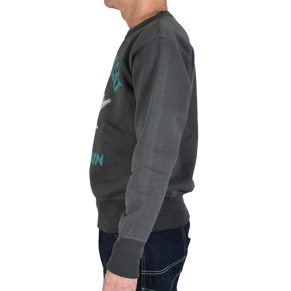 トイズマッコイ (TOYS McCOY) HEAVYWEIGHT SWEAT SHIRT FELIX THE CAT -STRIKE AGAIN- プリントスウェットシャツ 長袖トレーナー TMC2643